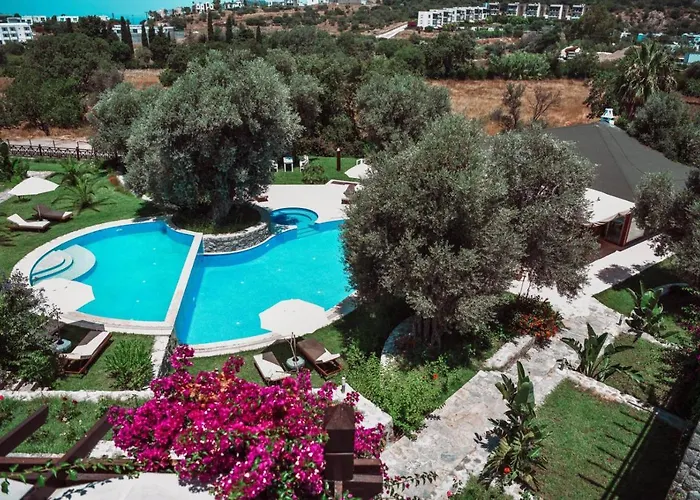 Amore BoutiqueBoutique Hotel